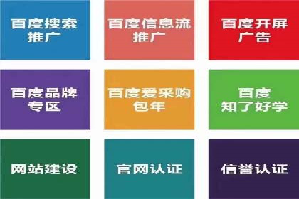 实战经验分享：SEO与SEM优化案例精选